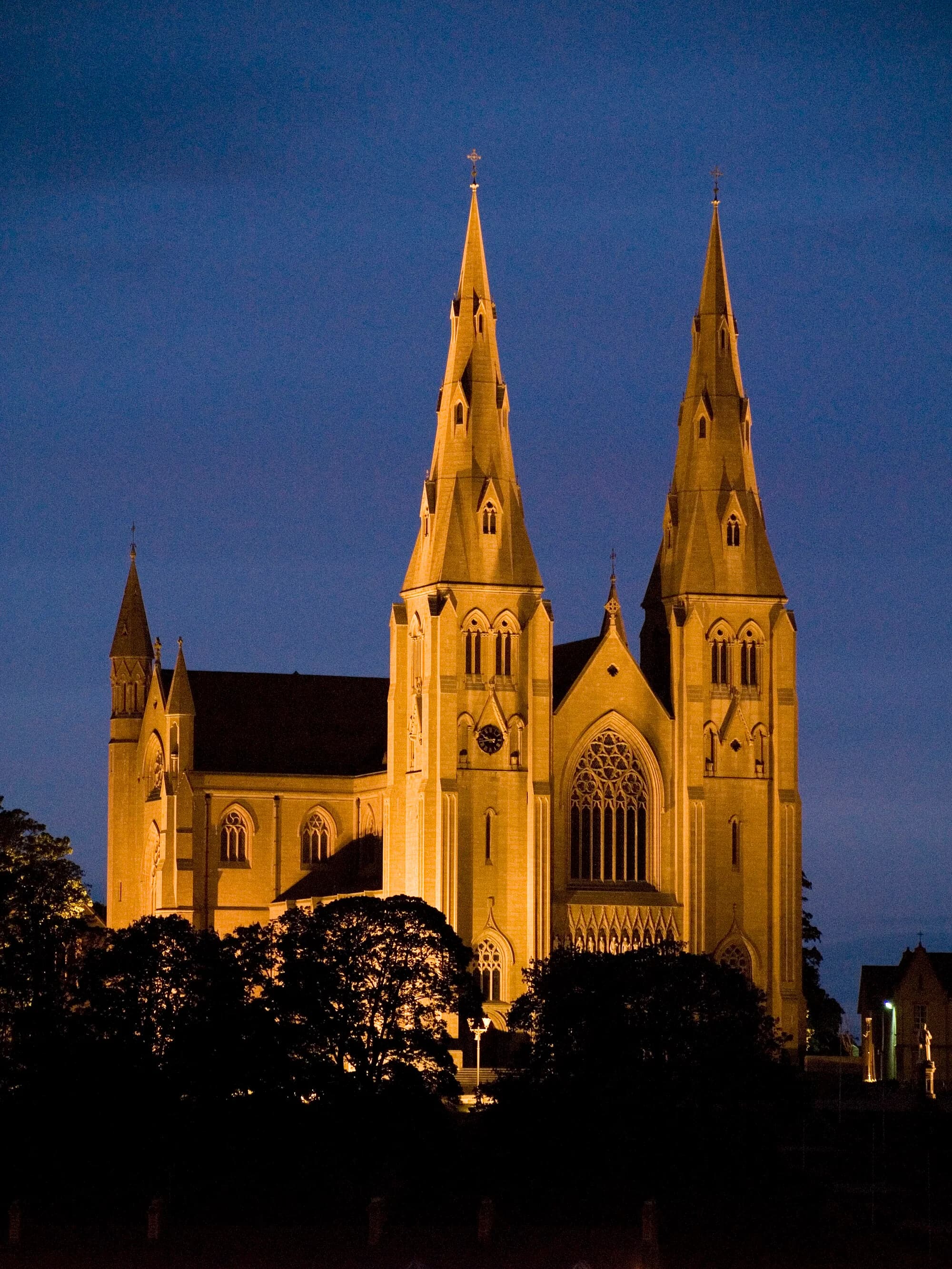 Vets in Armagh