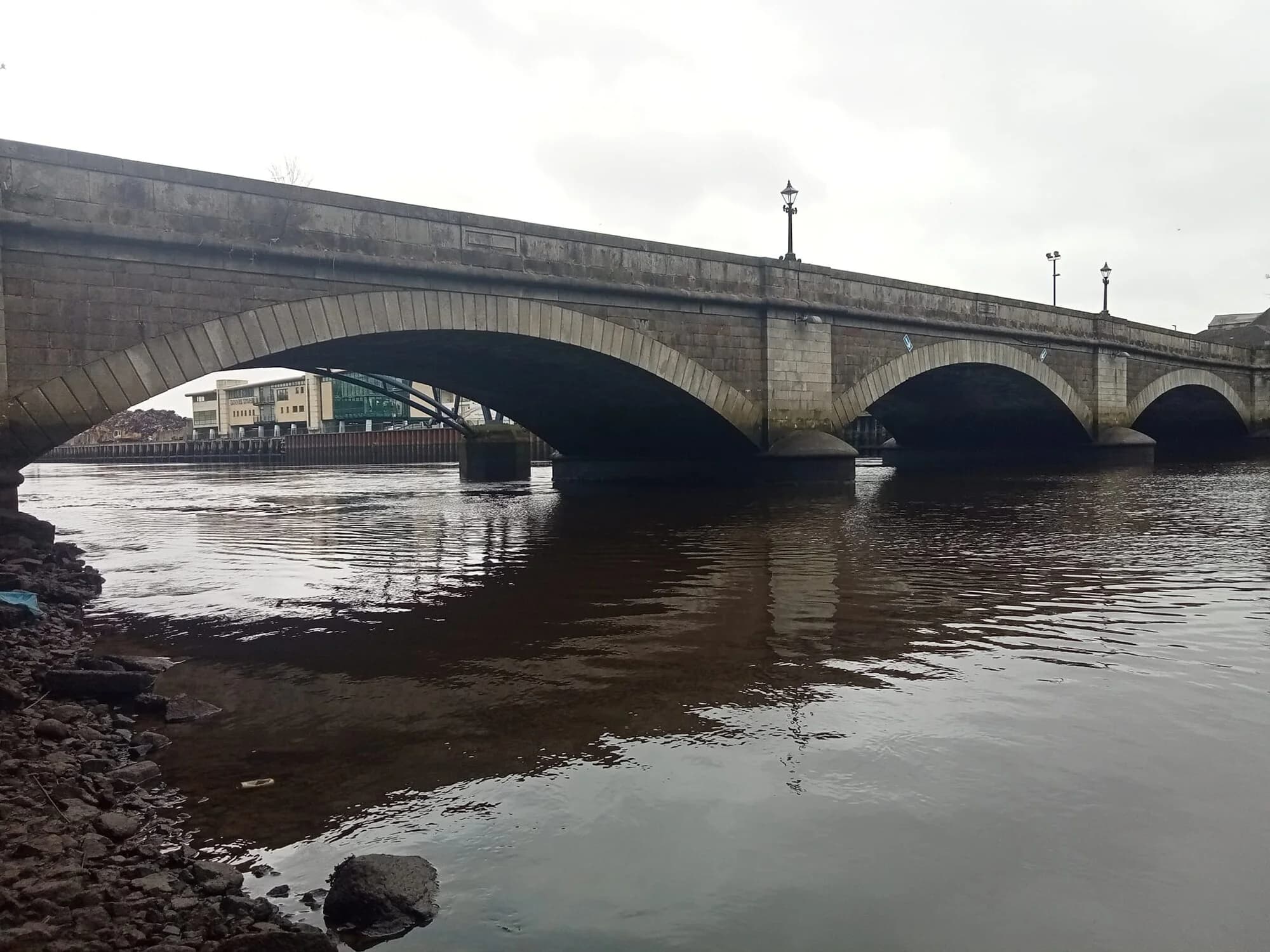 Vets in Coleraine