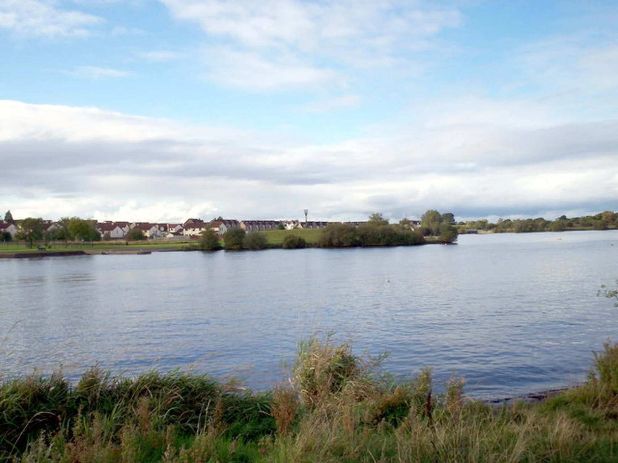 Vets in Craigavon