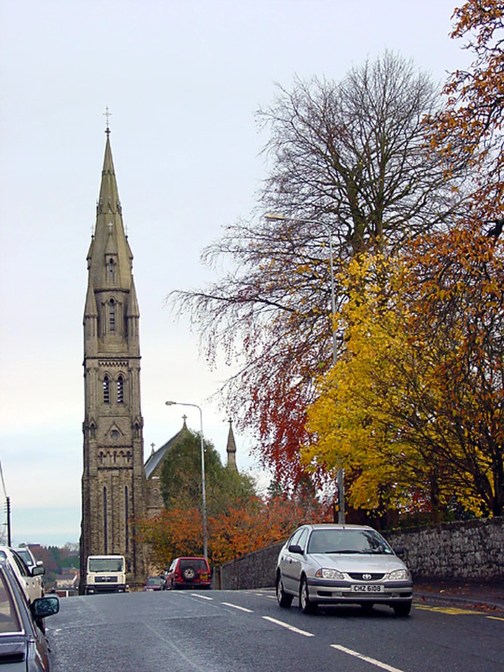 Vets in Dungannon