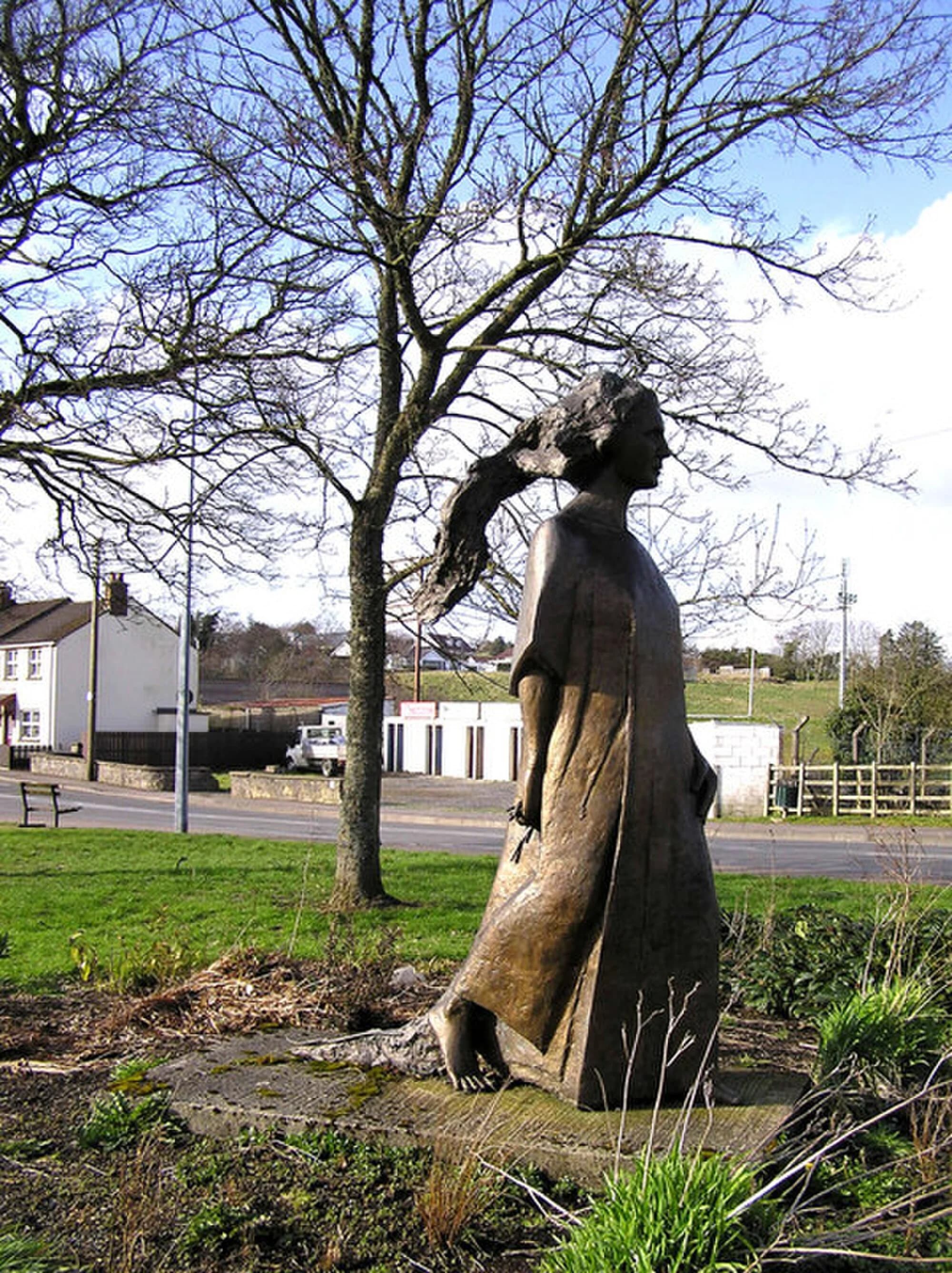 Vets in Irvinestown