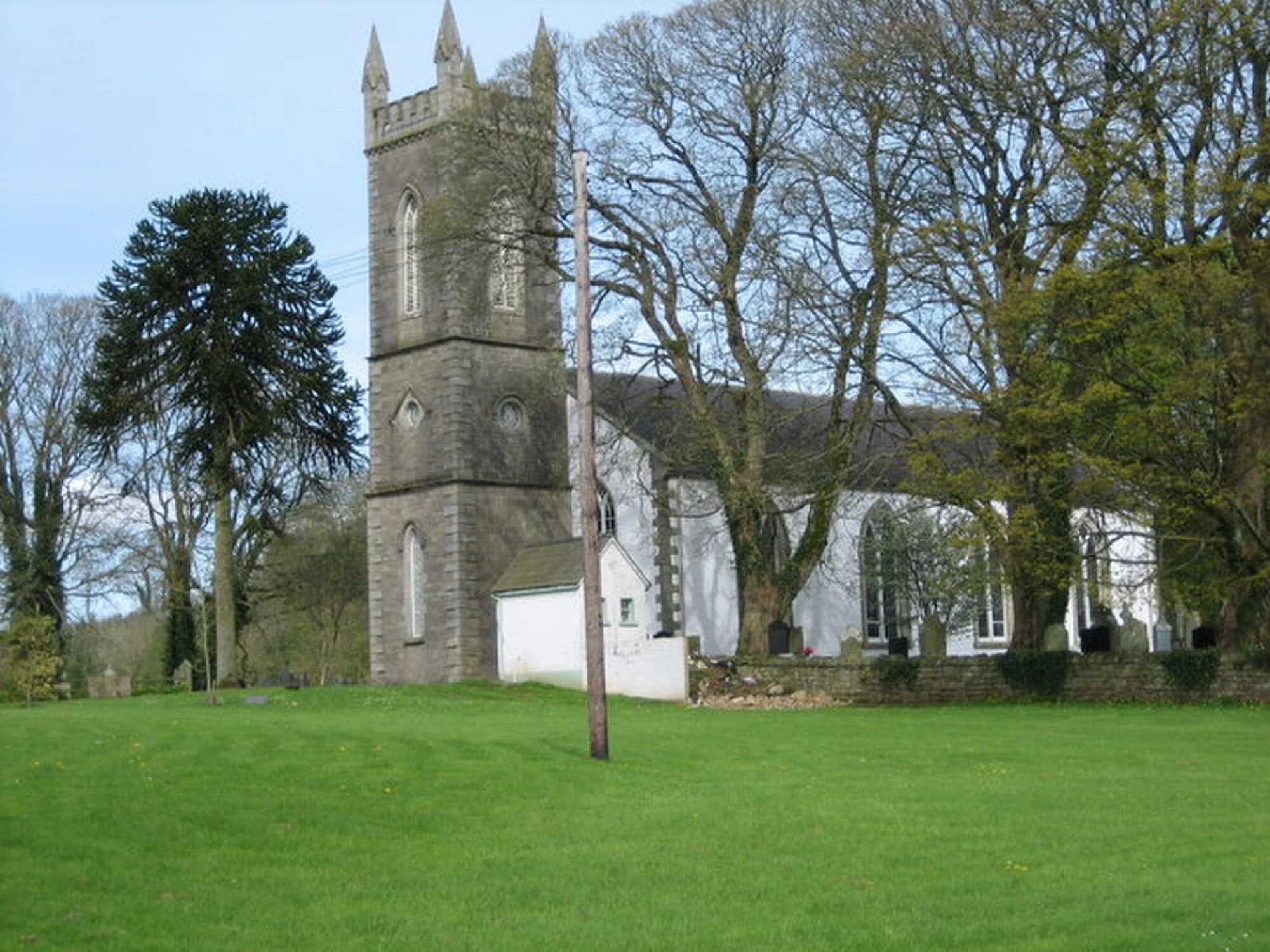 Vets in Roslea